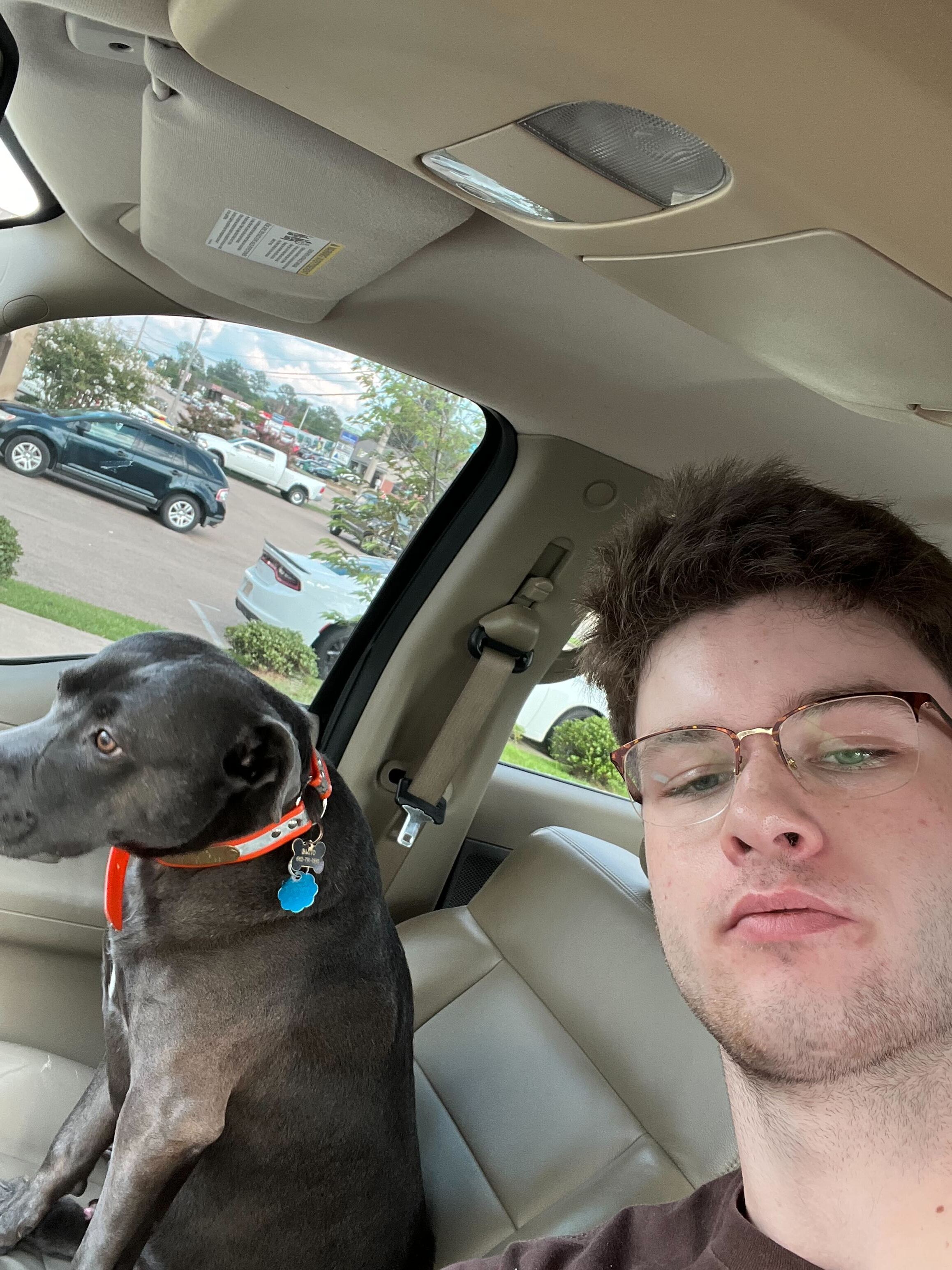 Cooper and blu in the car.